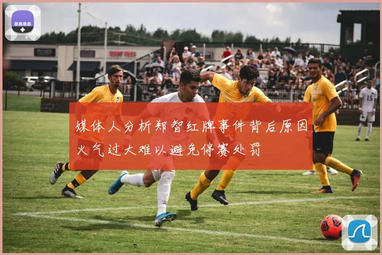 媒体人分析郑智红牌事件背后原因火气过大难以避免停赛处罚