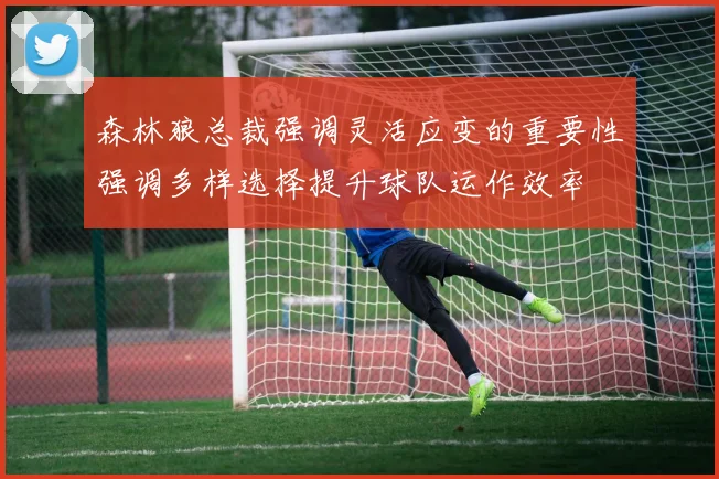 森林狼总裁强调灵活应变的重要性强调多样选择提升球队运作效率